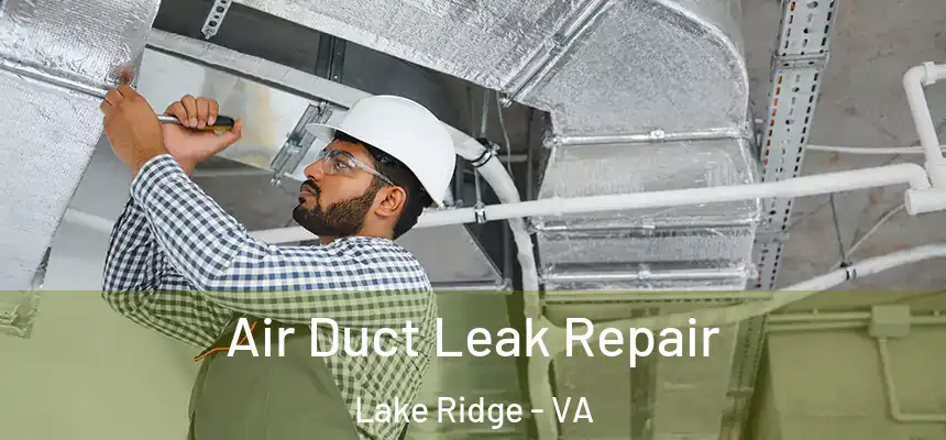  Air Duct Leak Repair Lake Ridge - VA