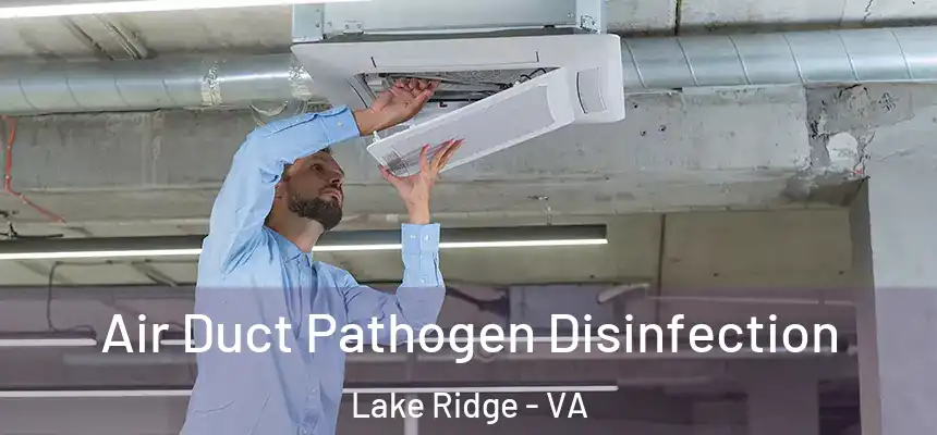  Air Duct Pathogen Disinfection Lake Ridge - VA