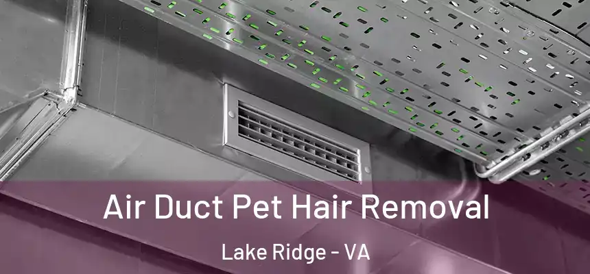  Air Duct Pet Hair Removal Lake Ridge - VA