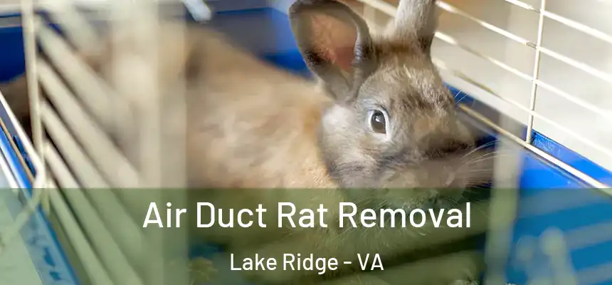  Air Duct Rat Removal Lake Ridge - VA