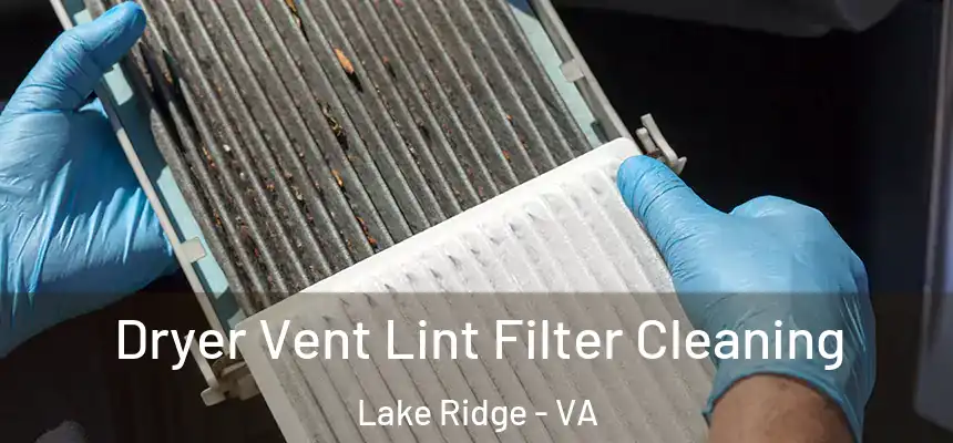 Dryer Vent Lint Filter Cleaning Lake Ridge - VA