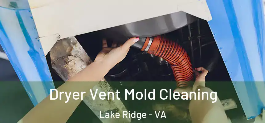  Dryer Vent Mold Cleaning Lake Ridge - VA