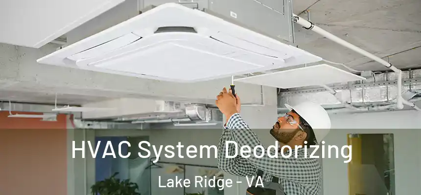  HVAC System Deodorizing Lake Ridge - VA