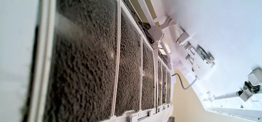 Preventive Air Duct Bacteria Removal in Lake Ridge