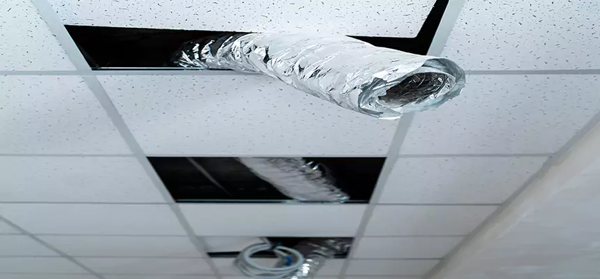 Our Air Duct Pet Hair Removal Services in Lake Ridge, VA