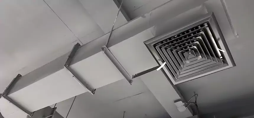 Our Pest Removal From Ducts Services in Lake Ridge, VA