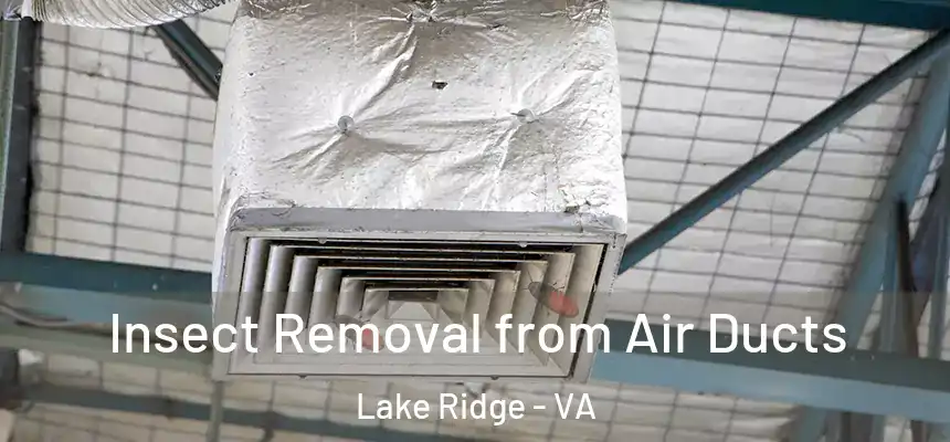  Insect Removal from Air Ducts Lake Ridge - VA