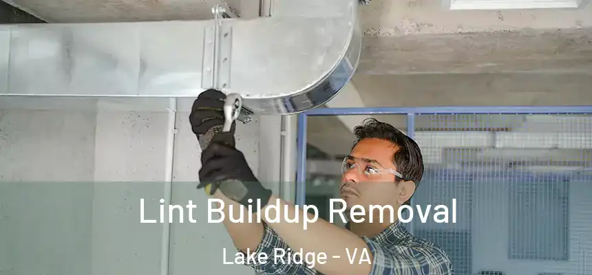  Lint Buildup Removal Lake Ridge - VA