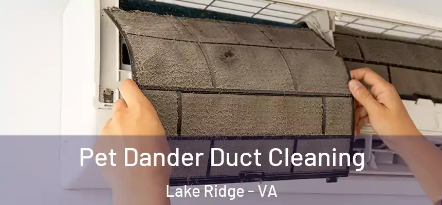  Pet Dander Duct Cleaning Lake Ridge - VA
