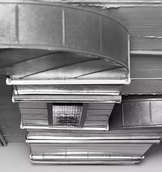 Professional Air Duct Pest Removal in Lake Ridge, VA