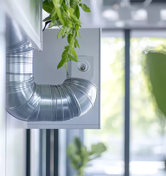 Professional Eco-Safe Dryer Vent Cleaning in Lake Ridge, VA