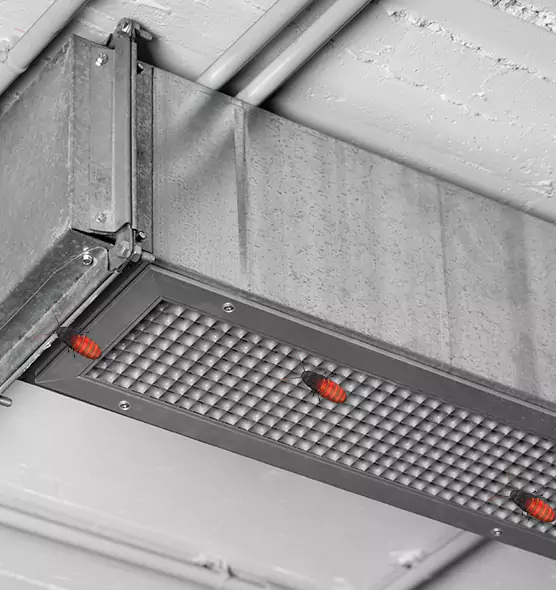 Affordable Insect Removal from Air Ducts in Lake Ridge, VA