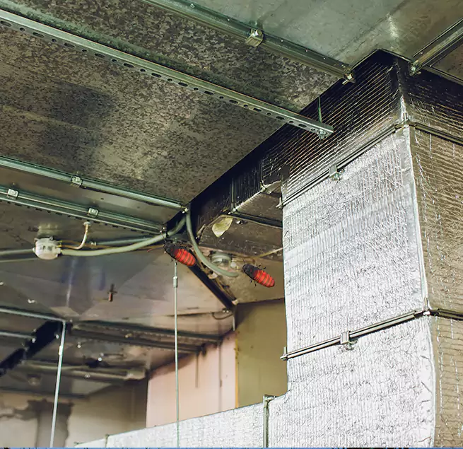 Why Homeowners & Businesses Trust Us in Lake Ridge, VA?