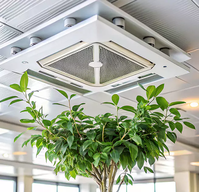 Why Homeowners & Businesses Trust Us in Lake Ridge, VA